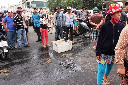 Ô nhiễm môi trường do vét nạo Vịnh Cam Ranh ở Khánh Hòa