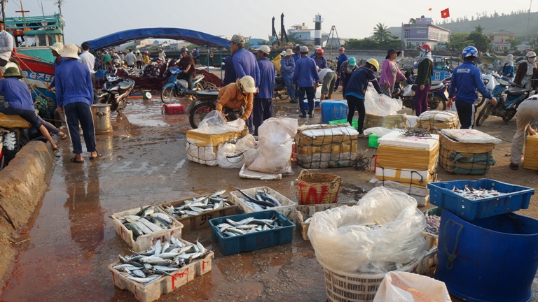 chợ cá đảo Lý Sơn