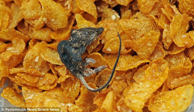 Trước đó cũng từng xảy ra vụ người tiêu dùng ở Anh tìm thấy chuột chết trong đồ ăn ngũ cốc