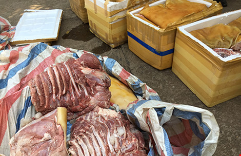Số thịt thối không rõ nguồn gốc bị cơ quan chức năng thu giữ ở Đắk Lắk