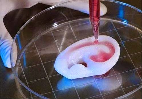 Phát minh mới với công nghệ in 3D giúp phát triển kỹ thuật ghép tạng người