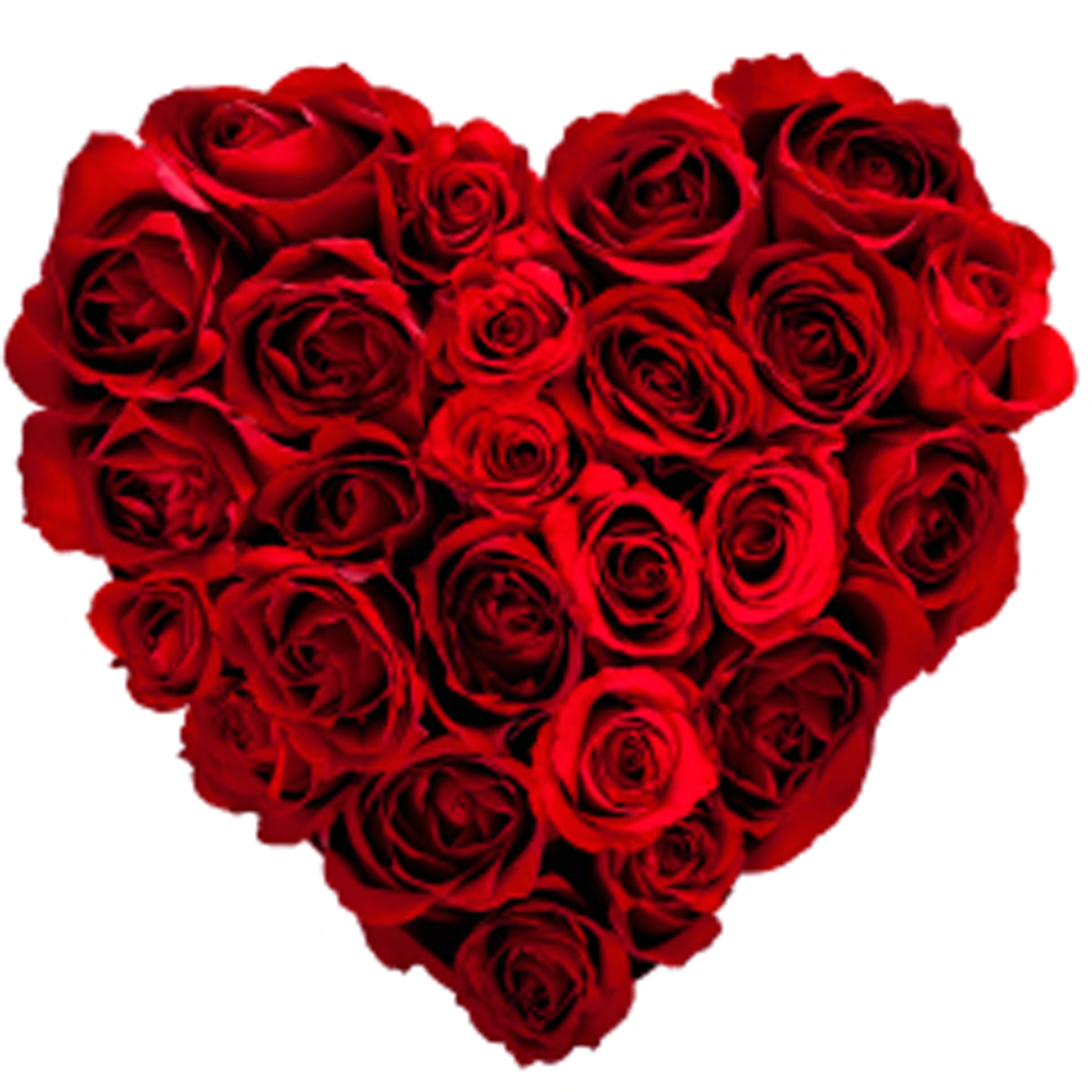 Biểu tượng trái tim của ngày Valentine lại là một 'phát minh mới' có nguồn gốc từ một loại cây dùng để tránh thai thời trung cổ