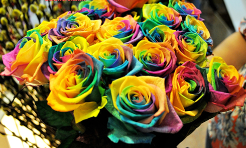 Ý nghĩa mỗi màu sắc của hoa hồng là một 'phát minh mới' xuất phát từ tấm lòng của người tặng hoa