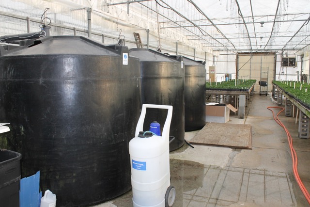 Những bể lớn chứa nước cung cấp chất dinh dưỡng cho cây được điều khiển bởi hệ thống máy tính tinh vi
