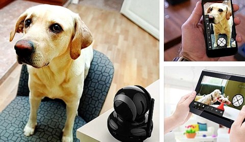 Người chủ sẽ không phải lo lắng về những con vật nuôi của mình với thiết bị này