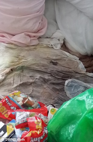 Con gái bà Green Corrin Garland phát hiện nệm và giường của bà đẫm trong nước tiểu và rác 