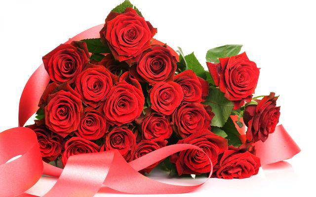  Hoa là món quà tặng ý nghĩa ngày 8/3 dùng để thổ lộ tình cảm và thay lời muốn nói một cách tinh tế nhất