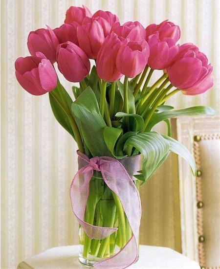 Nếu muốn chọn một món quà tặng ý nghĩa ngày 8/3 cho người đặc biệt thì hoa tulip cũng là một lựa chọn thú vị