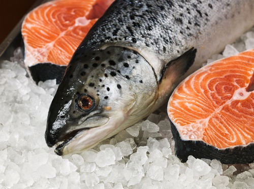 Dễ bị hiếm muộn nếu thường xuyên ăn cá chứa hàm lượng thủy ngân cao