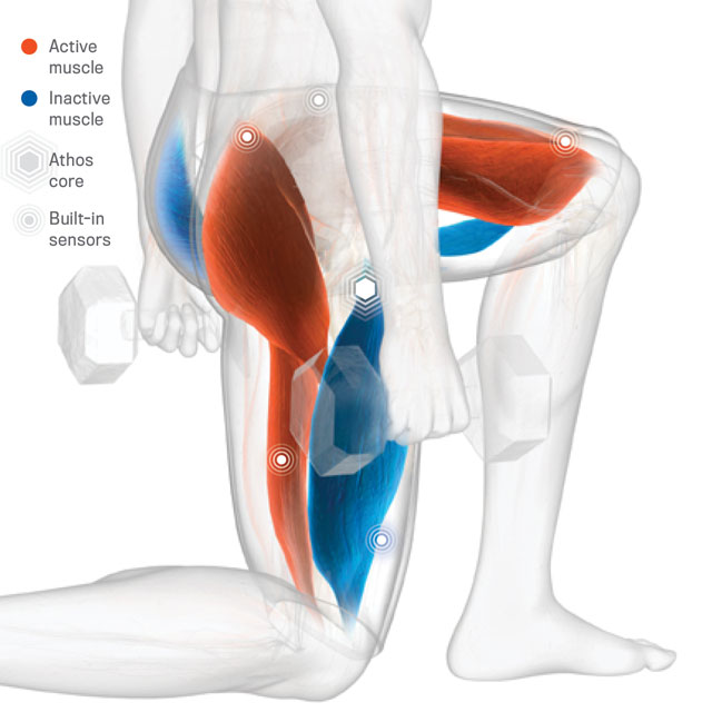 Các múi cơ sẽ được thiết bị theo dõi sức khỏe Athos mô hình hóa, gửi tới smartphone