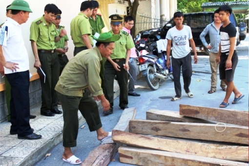 Công an bắt kiểm lâm vì hối lộ, 'sốc' toàn lực lượng