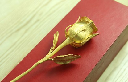 Bông hồng có trọng lượng 5,1 lượng, chiều dài 23,5 cm