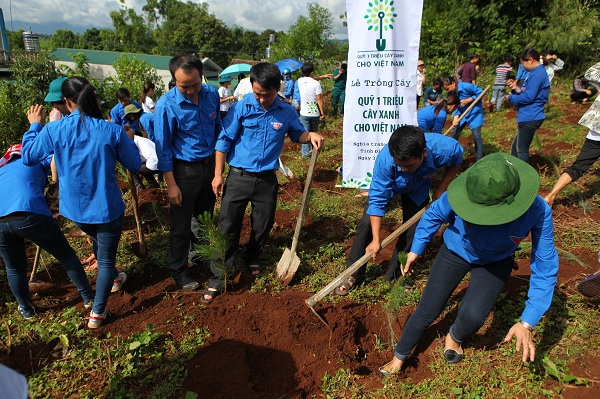 Các đoàn viên thanh niên tại Điện Biên cùng tham gia trồng cây