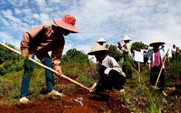 Đồng bào dân tộc tại Điện Biên cùng tham gia trồng cây cùng Quỹ 1 triệu cây xanh cho Việt Nam