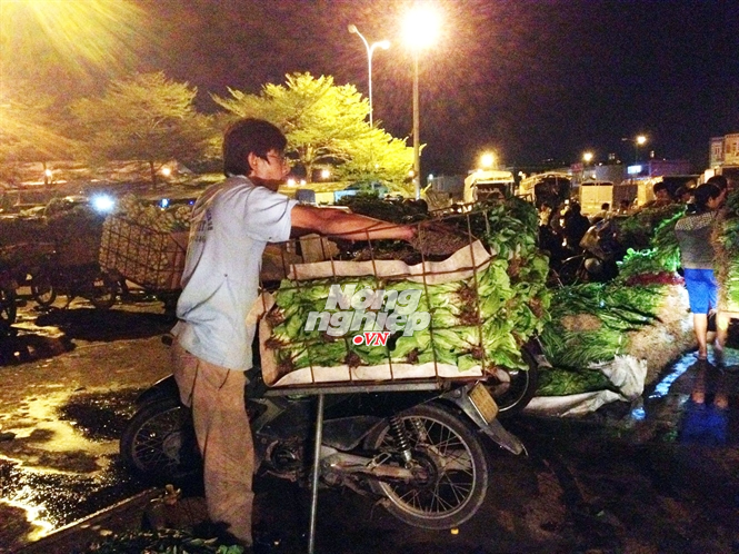 rau không sạch