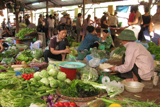 Ế thảm vì bị nghi…rau Trung Quốc!