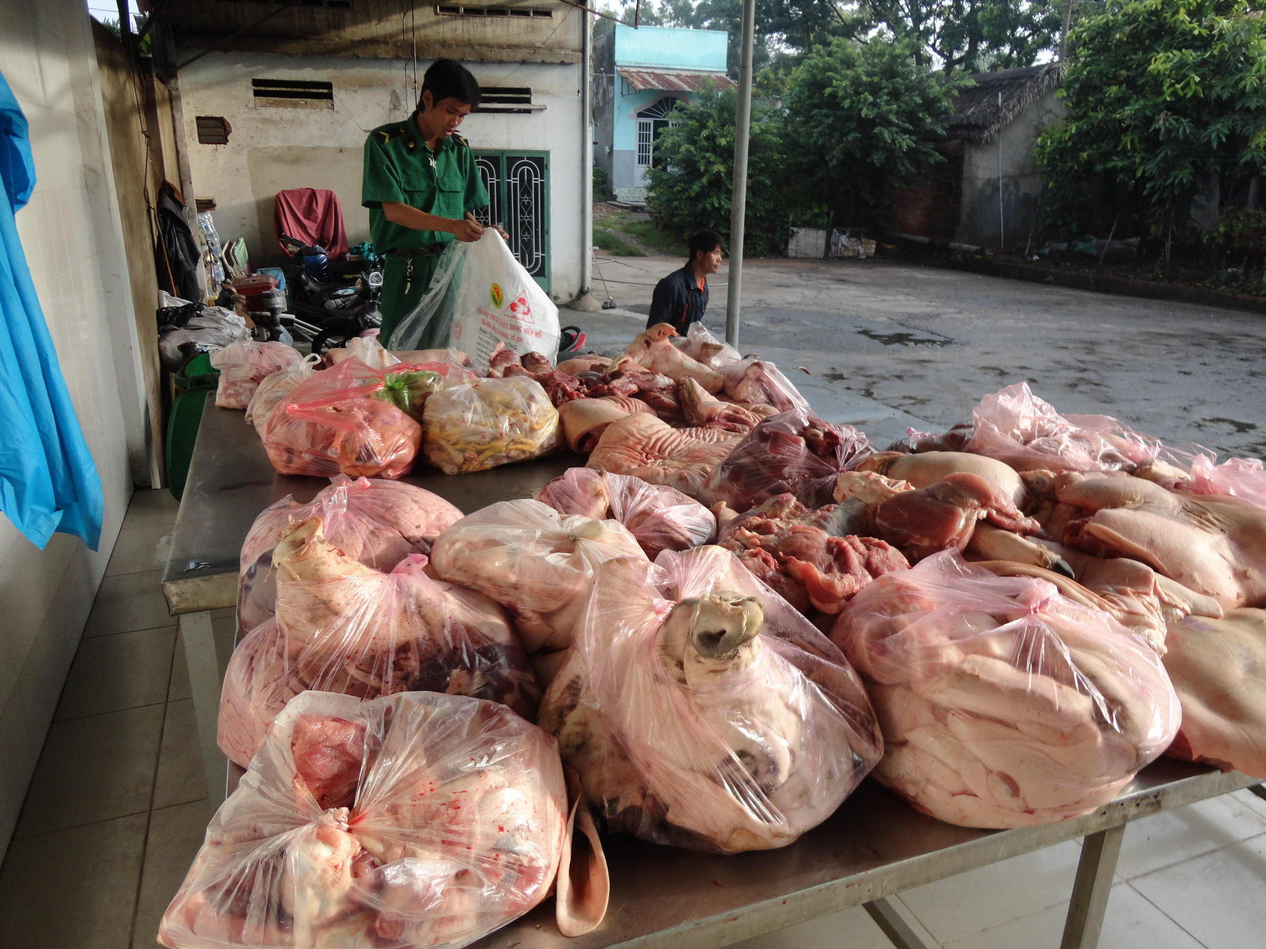 Thịt heo bệnh, thịt heo bẩn bị tuồn ra thị trường với số lượng lớn đến hàng tấn mỗi ngày