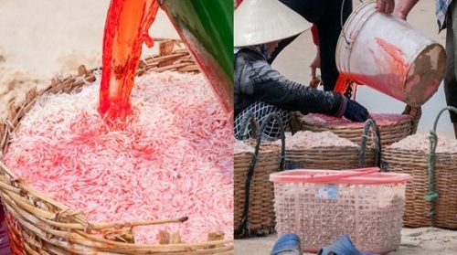  Thông tin mới nhất vè vụ nhuôm ruốc bằng phẩm màu ở Phú Yên