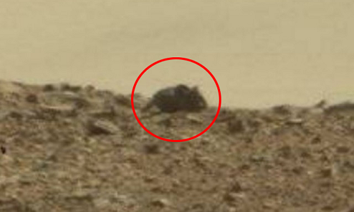Hình ảnh con chuột ở miệng hố Gale thuộc sao Hỏa. Ảnh: NASA