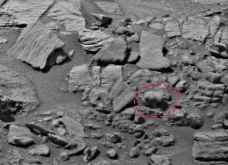 Đây có thực sự là sinh vật sống trên Sao Hỏa. Ảnh: UFO Sightings Daily