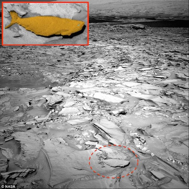 Vật thể lạ được cho là cá hóa thạch trên sao Hỏa
