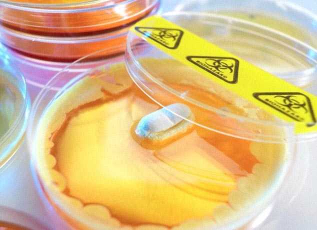 Siêu kháng sinh teixobactin có thể sẽ là ‘thuốc chữa bách bệnh’ trong tương lai