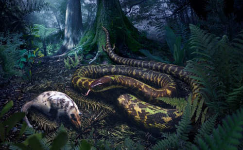 Khoa học Mỹ phát hiện sinh vật lạ thuộc họ rắn có thể từng có chân