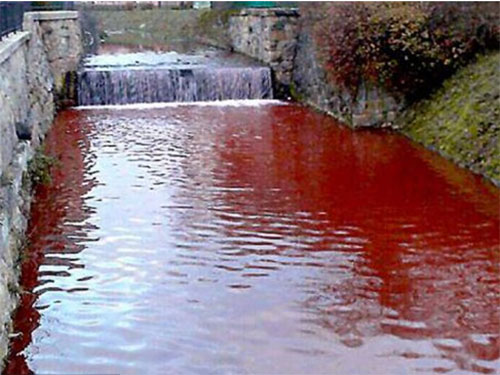 sông máu.vietq.vn.jpg