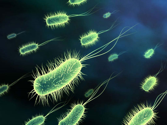 Các vi khuẩn cổ nắm giữ chìa khóa protein quan trọng của mọi sự sống trên trái đất