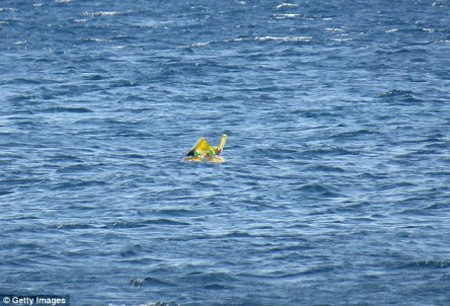 Tai nạn hy hữu bất ngờ xảy ra khiến bé Melda 10 tháng tuổi lênh đênh khoảng 1 km trên biển