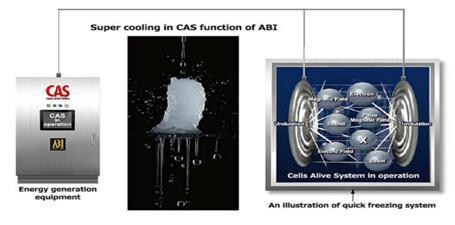 Kết quả lạnh đông CAS là giữ được chất lượng sản phẩm tươi nguyên như ban đầu.