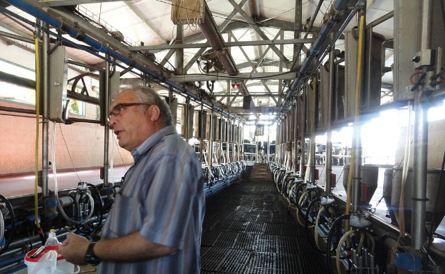 Trang trại chăn nuôi bò sữa với công nghệ cao ở Isarel