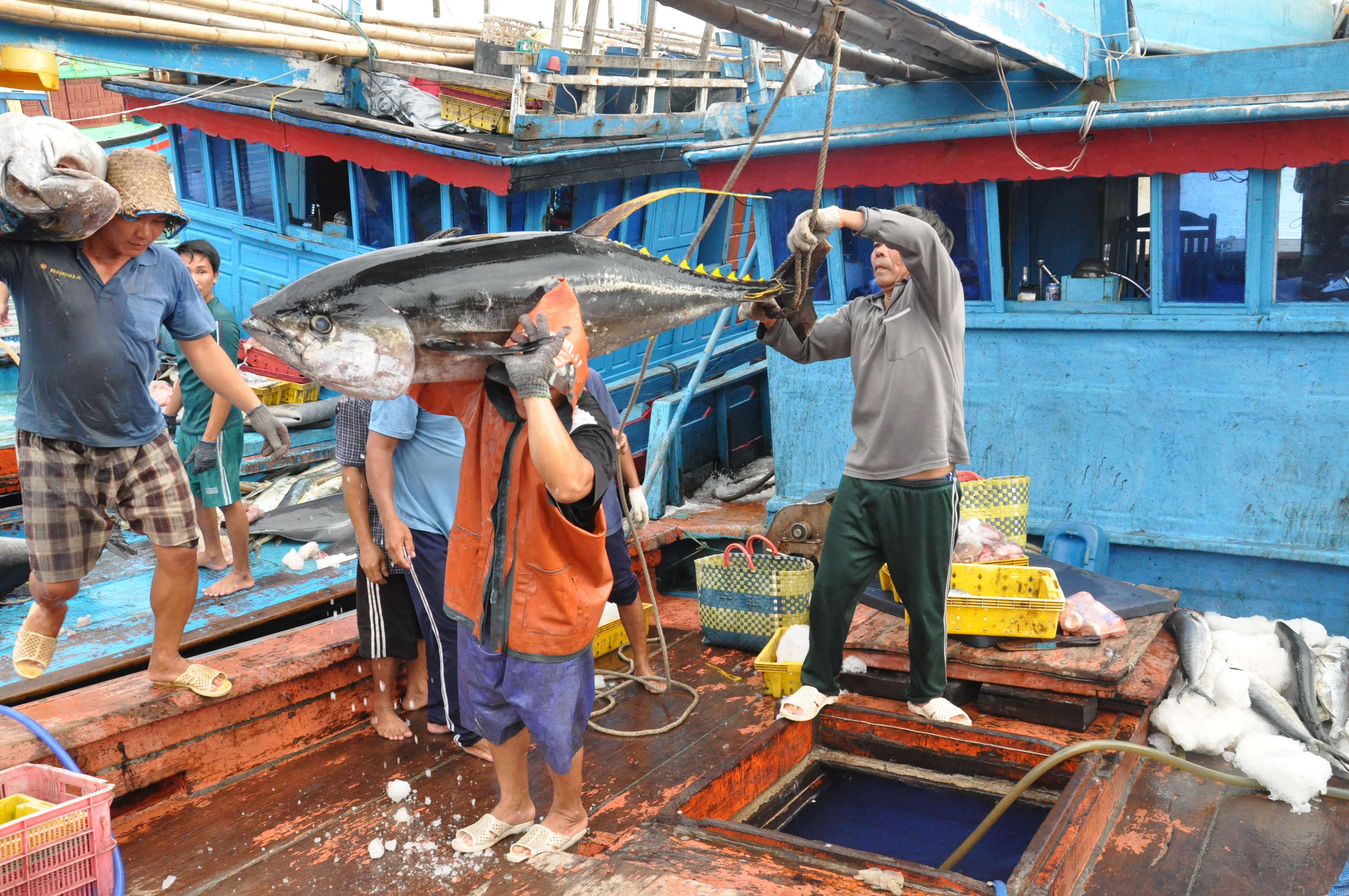 phương pháp mới bảo quản thủy sản trên tàu cá đánh bắt xa bờ