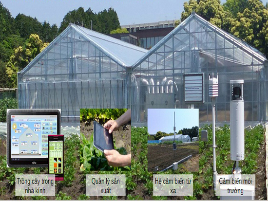 Cơ sở nghiên cứu và phát triển của Fujitsu cho ngành nông nghiệp thông minh được đặt tại Numazu.