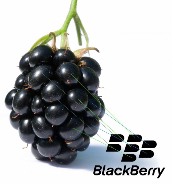 thương hiệu nổi tiếng Blackberry