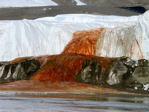 Thác máu bí ẩn ở Nam Cực có thể chưa một hệ sinh thái ngầm rộng lớn 'không tưởng'