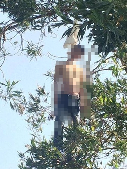 Thi thể nam thanh niên treo lửng lơ trên cây bằng chiếc áo là một trong những tin tức nổi bật 24h qua  
