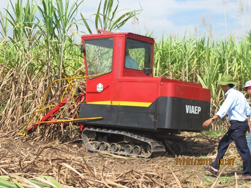 Máy thu hoạch mía của các nhà khoa học Việt Nam chế tạo được nông dân ưu dùng