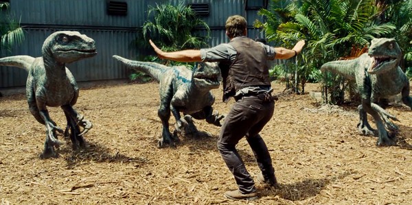 Chris Pratt đang huấn luyện cho những con Velociraptor trong Thế giới kỷ Jura
