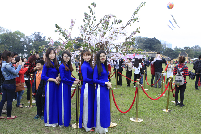 Tà áo dài thướt tha bên những cành hoa anh đào Nhận Bản tươi tắn