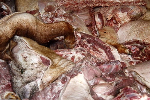Để lượng thịt heo không hôi thối sau gần 12 giờ giết mổ, thịt heo sẽ được tẩm một loại hóa chất