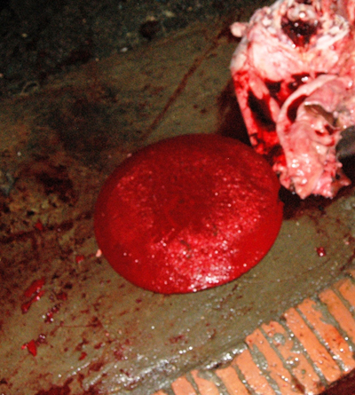 Huyết bò được dùng như chất tạo màu trong công nghệ biến thịt lợn sề thành thịt bò