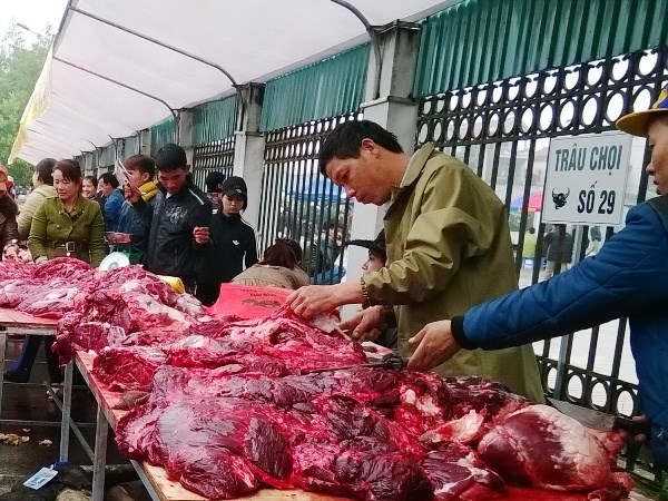 Lễ hội chọi trâu Phúc Thọ: Bắt nhiều người bán thịt trâu chọi rởm