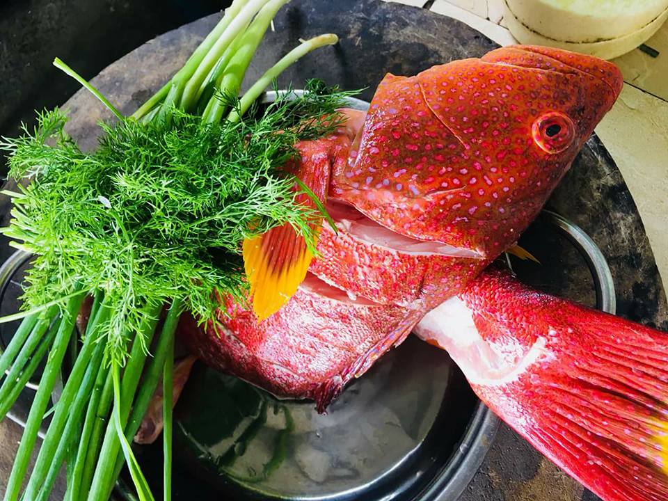Cá mú đỏ chục triệu đồng/con nhà giàu Việt mua để tủ lạnh ăn dần - ảnh 2