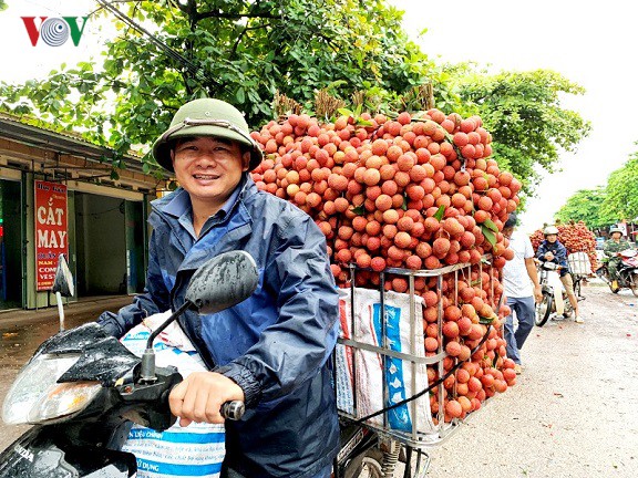 Vải thiều Lục Ngạn đạt doanh thu ‘khủng’ 3,5 nghìn tỷ, đạt kỷ lục cao nhất 6 năm