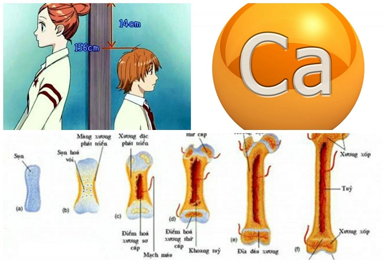 Tiêm hormone tăng trưởng có hại không?