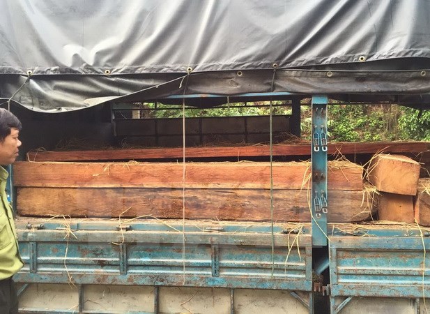 Lực lượng chức năng Hà Tĩnh đã thu giữ hàng trăm lóng gỗ gõ đỏ quý ngụy trang công phu trên container
