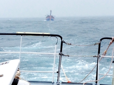 Tin tai nạn mới nhất truyền về, tàu cứu hộ lập tức ra biển, giải cứu hai tàu bị nạn
