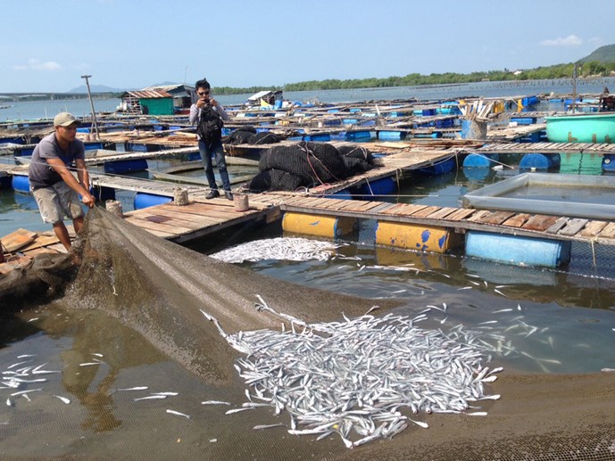 Tin tức mới cập nhật hôm nay: Dự thảo Hiến pháp mới của Thái Lan không được thông qua