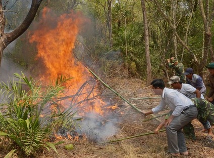 Hơn 5 héc ta rừng tự nhiên và 0,6 héc ta rừng thông của địa bàn huyện Hòa An bị cháy rụi 